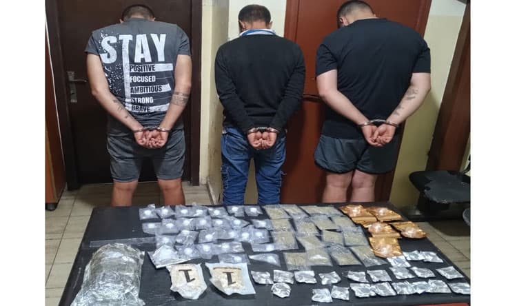 Lebanese Forces arrest drug gang in Tripoli