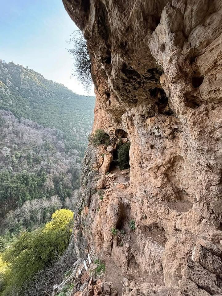 بطاركة مارينا وراهبة قنوبين