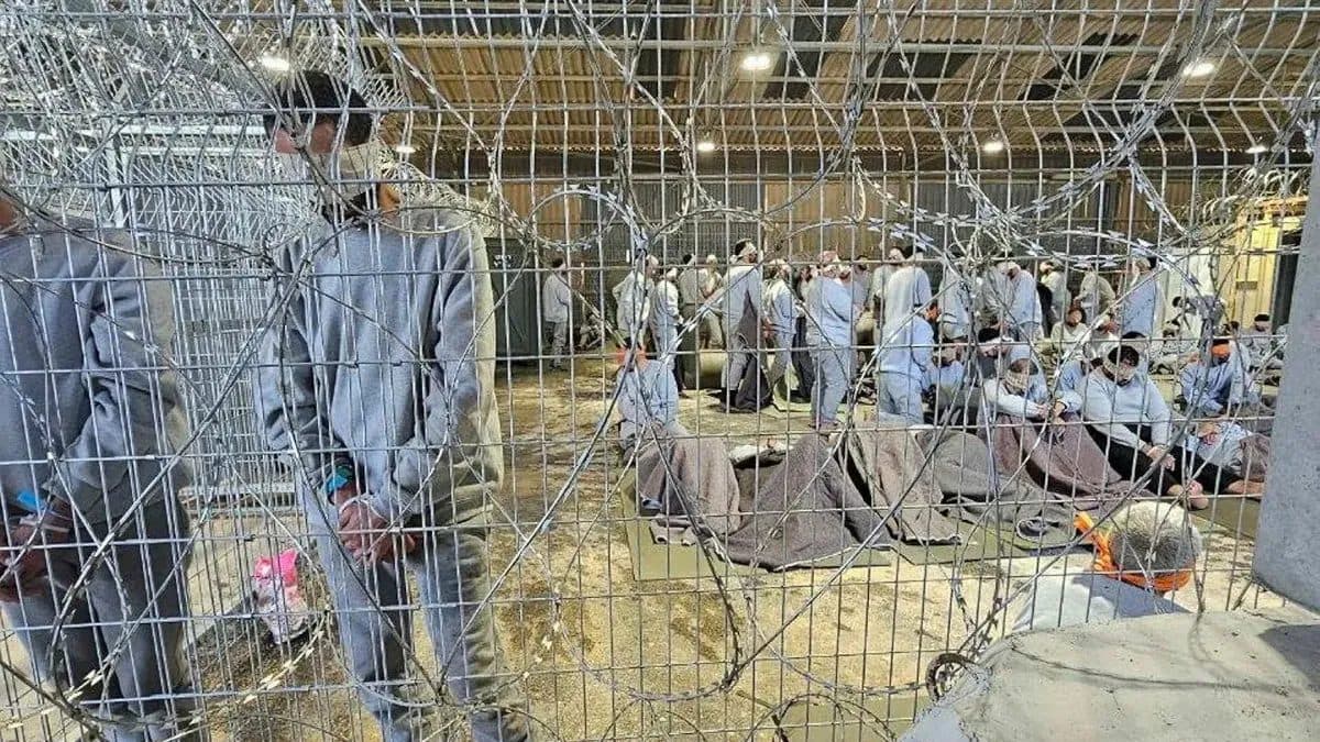 Book Details Palestinian Prisoner Experiences