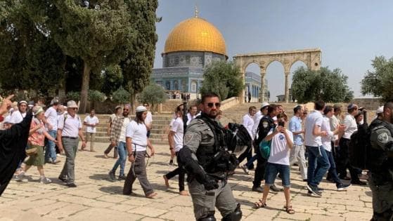 حشود استيطانية لاقتحام الأقصى الخميس