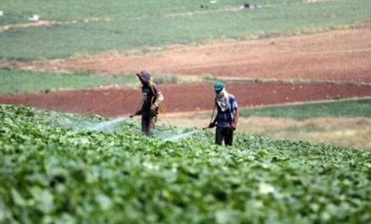 Valley farmers call for water debt resolution
