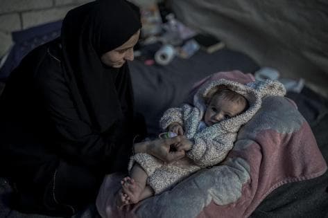 Gaza August Deaths and Births