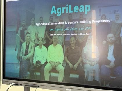 Four agritech projects gain initial funding in AgriLeap