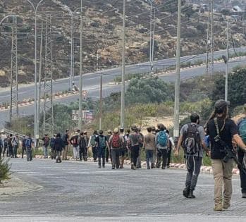 من هم المستوطنون بين سردا والجلزون
