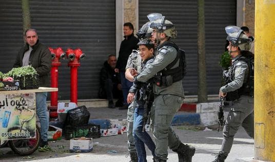 Most Palestinian minors held in solitary