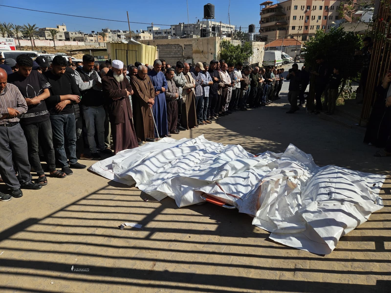 وفيات الإبادة في غزة تصل إلى 73,333