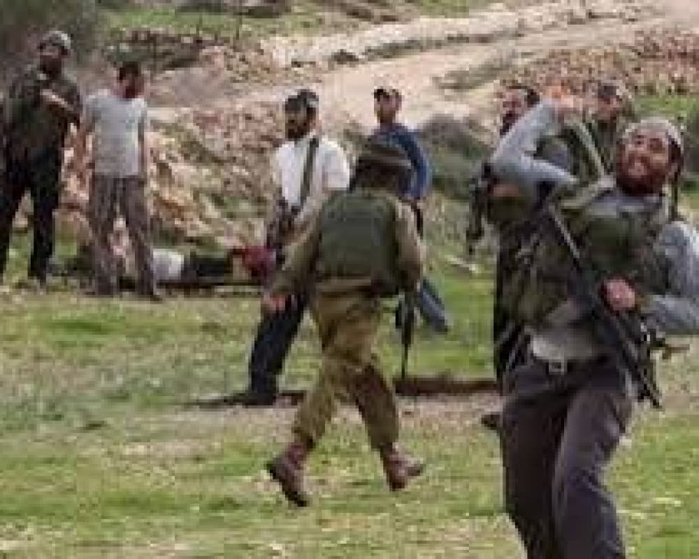 Palestinian youth injured by settlers in Azzun