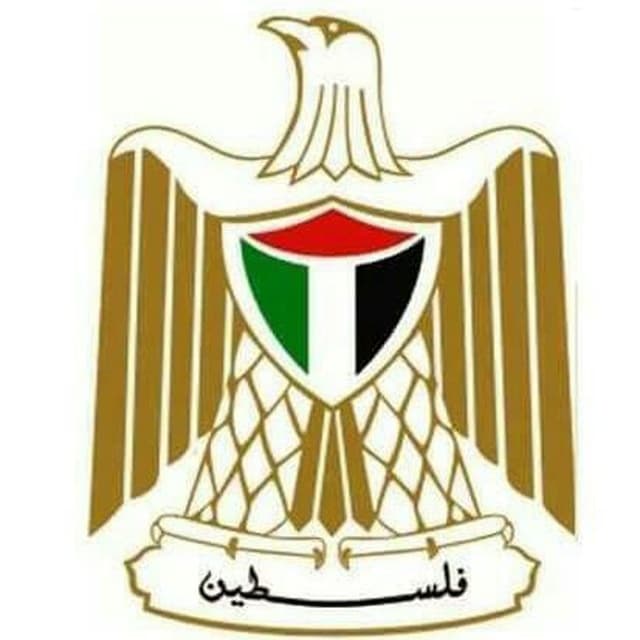 صحة غزة تواجه توقف نقل الكوادر