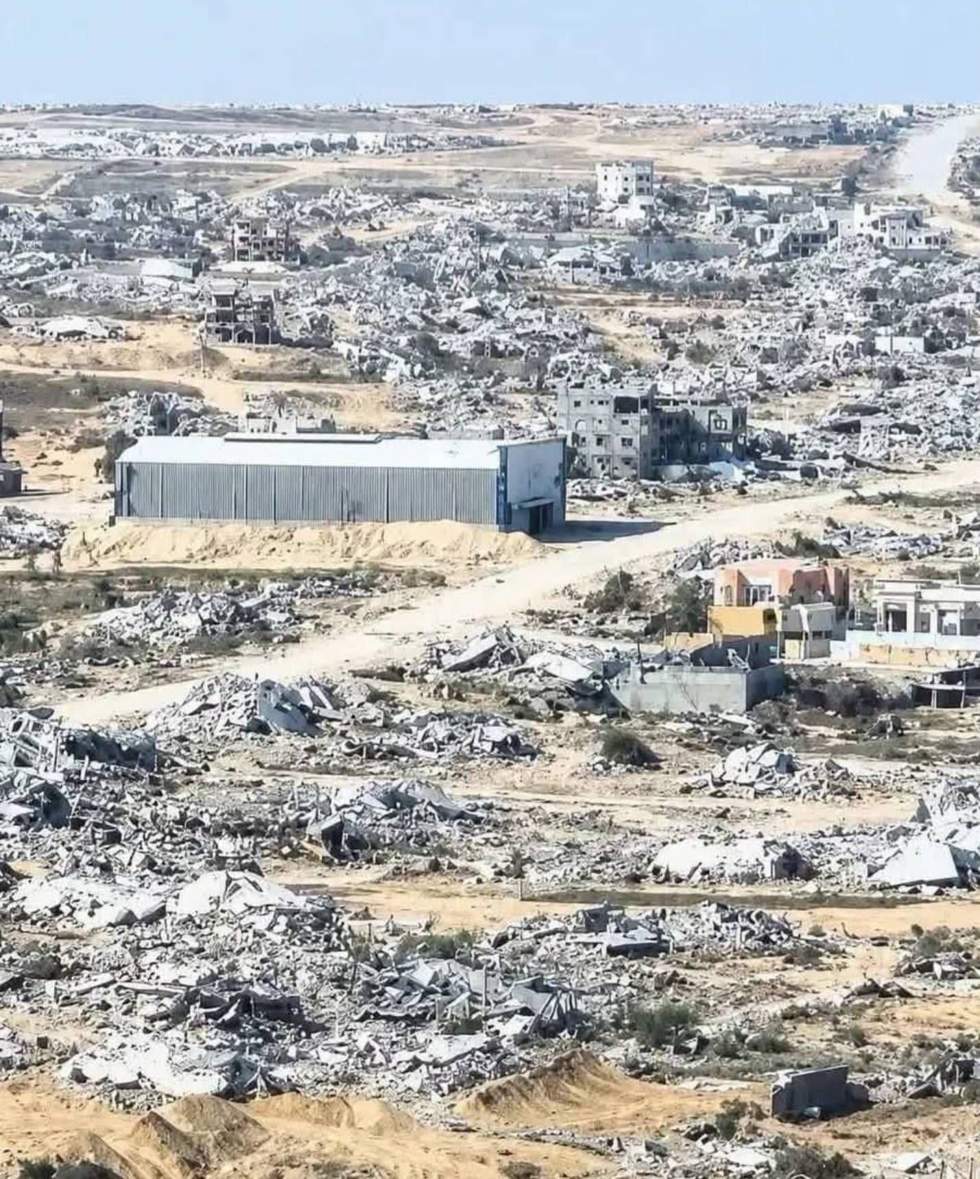 Al-Barash: Gaza tents host pests and Zionist forces