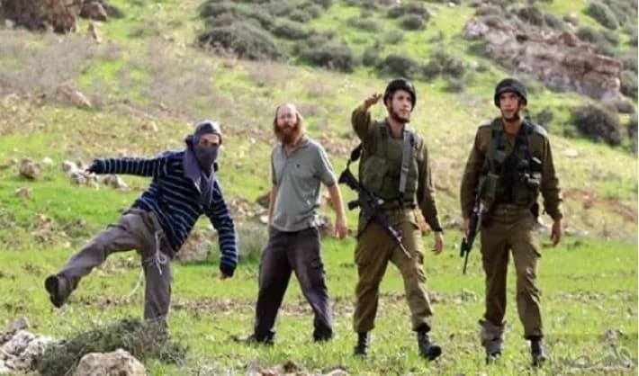 Palestinian Authority: 30 shot by settlers in West Bank this year