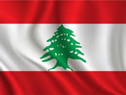 Israeli army demolishes homes and opens fire on towns in southern Lebanon