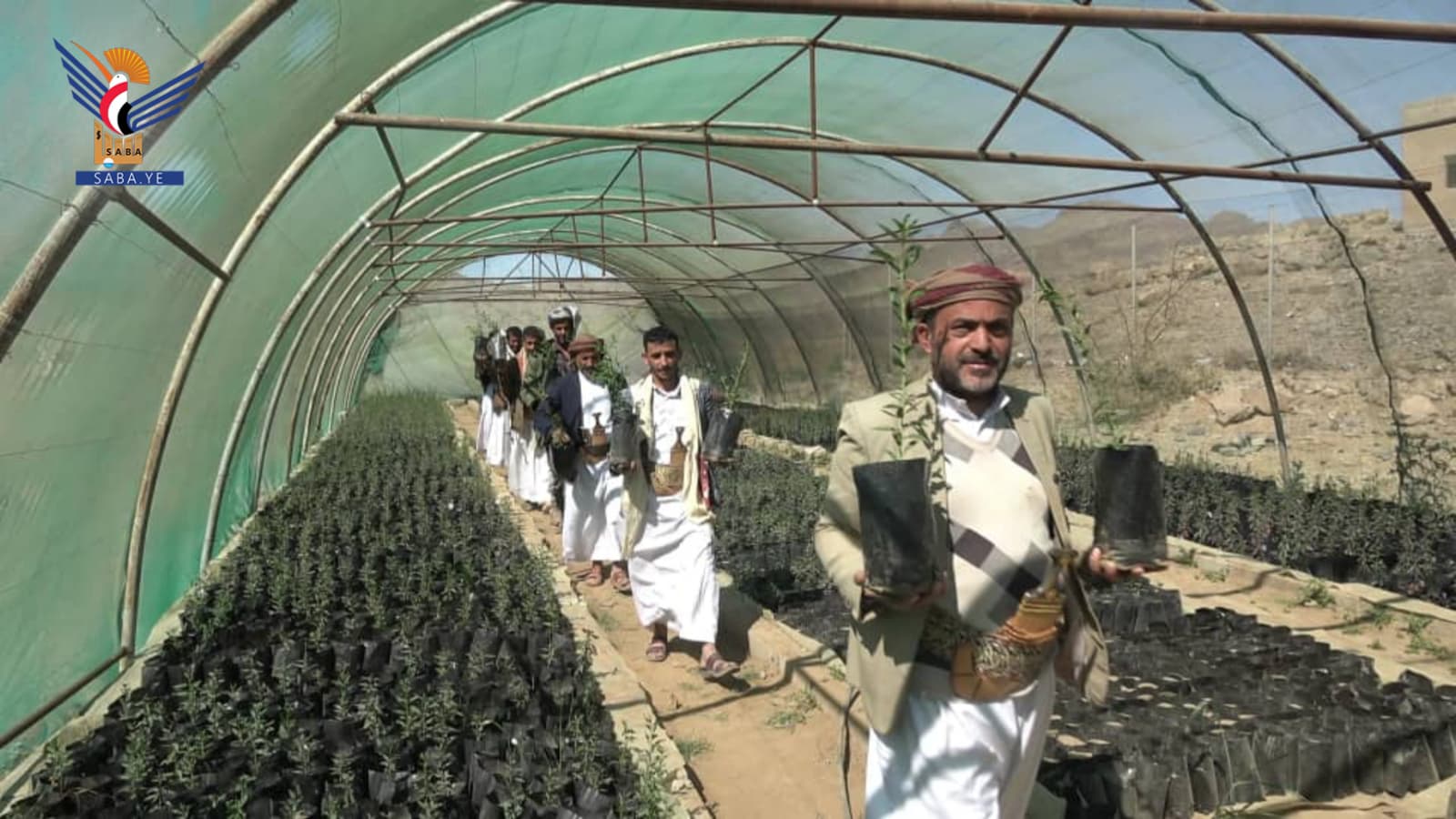 صنعاء تدعم أمنها الغذائي بـ31 نشاطاً زراعياً