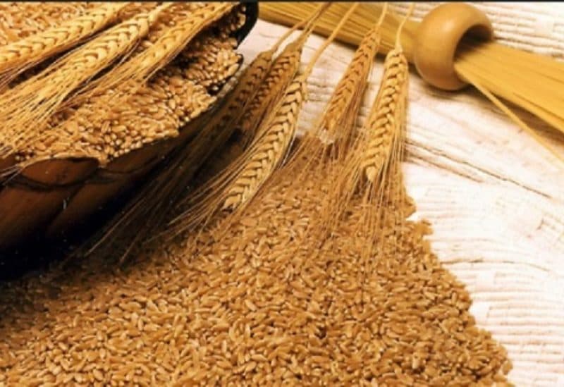 Wheat prices climb amid Black Sea issues