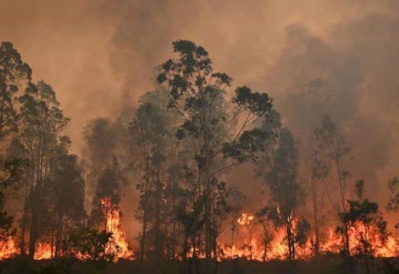 French wildfires cause mass evacuations