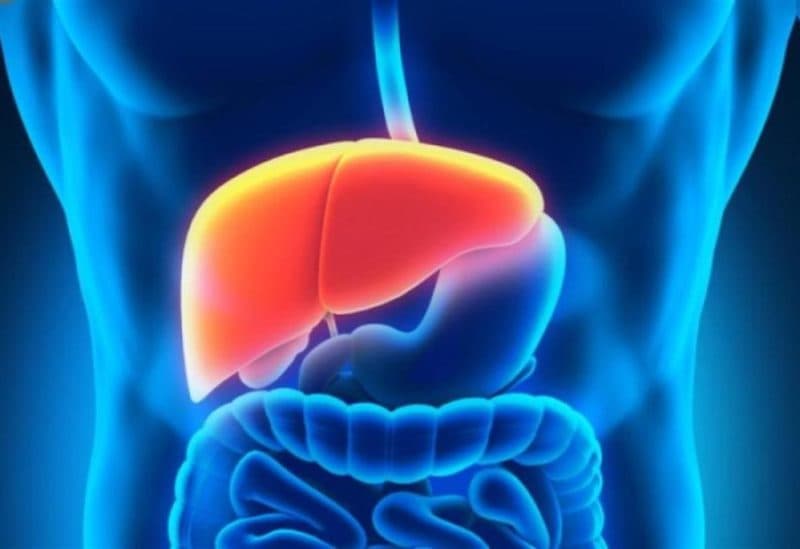 Habit Linked to 36% Fatty Liver Risk
