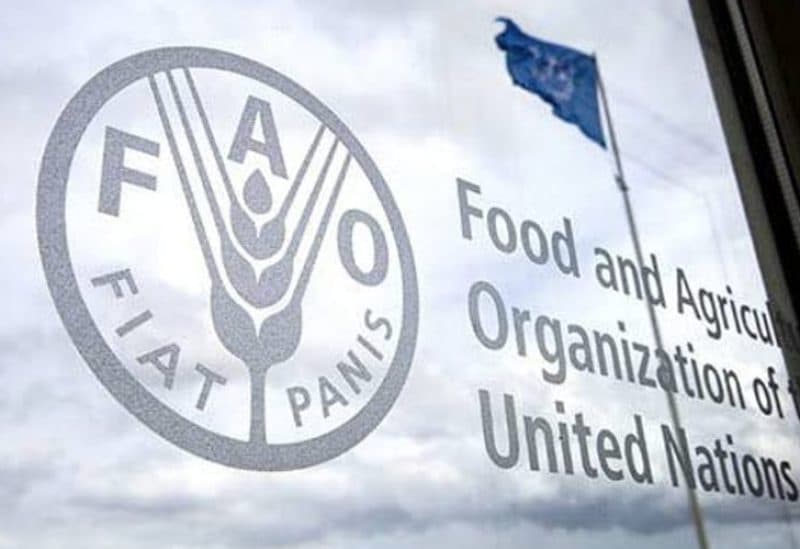 FAO reports global food price drop in May