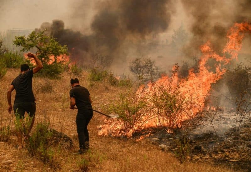 Turkey continues forest fire response