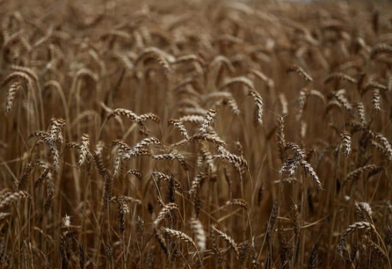 تحسن محصول المغرب يضغط على الصادرات الفرنسية