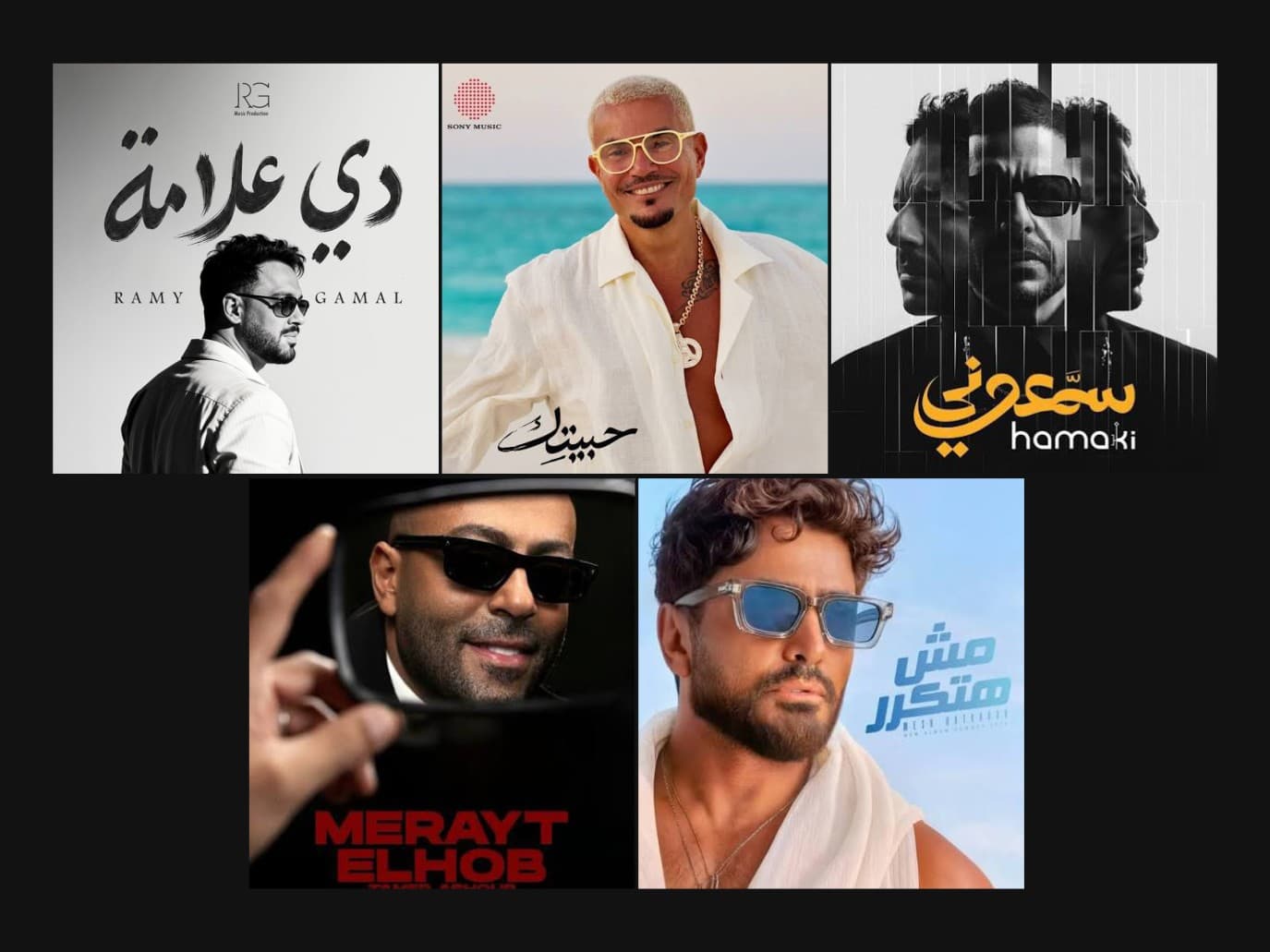 Diab, Tamer, Hamaqy Lead Egypt Album Market
