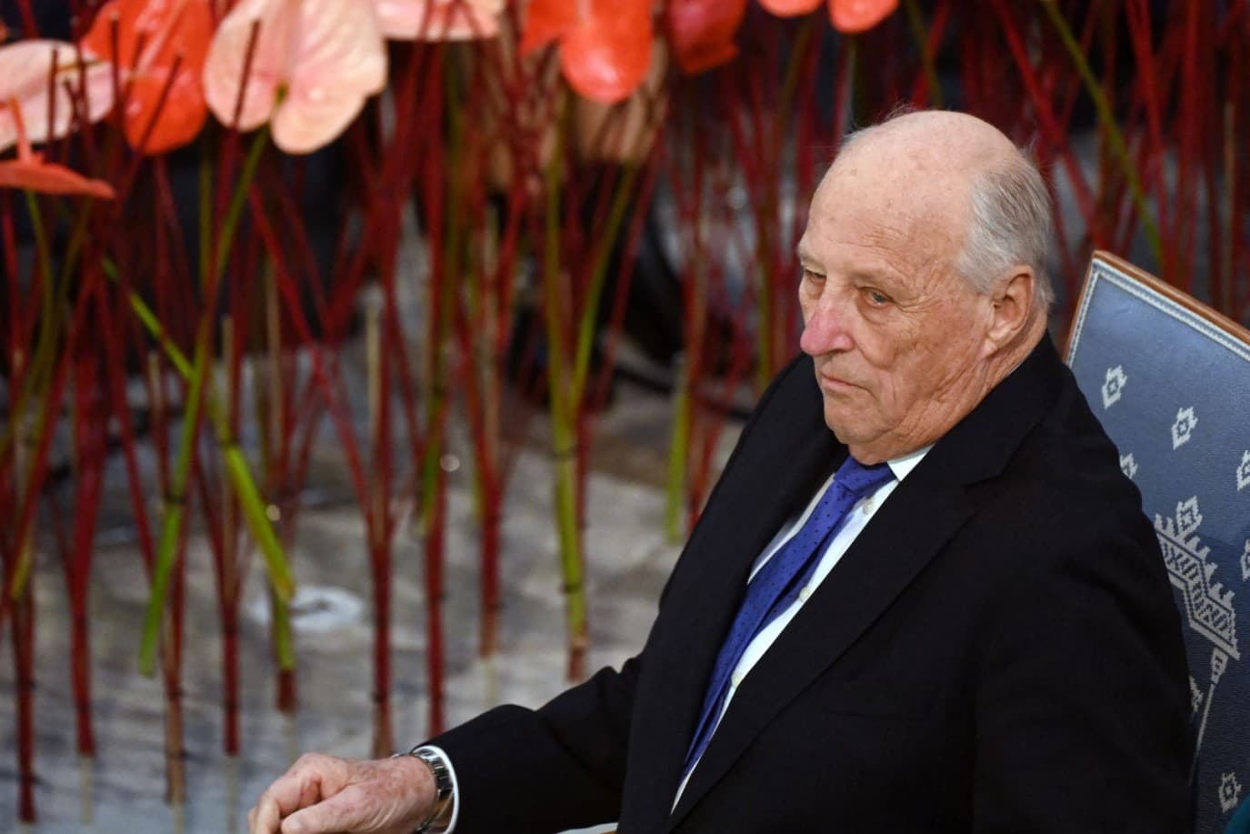 Norwegian King Harald Rehospitalized