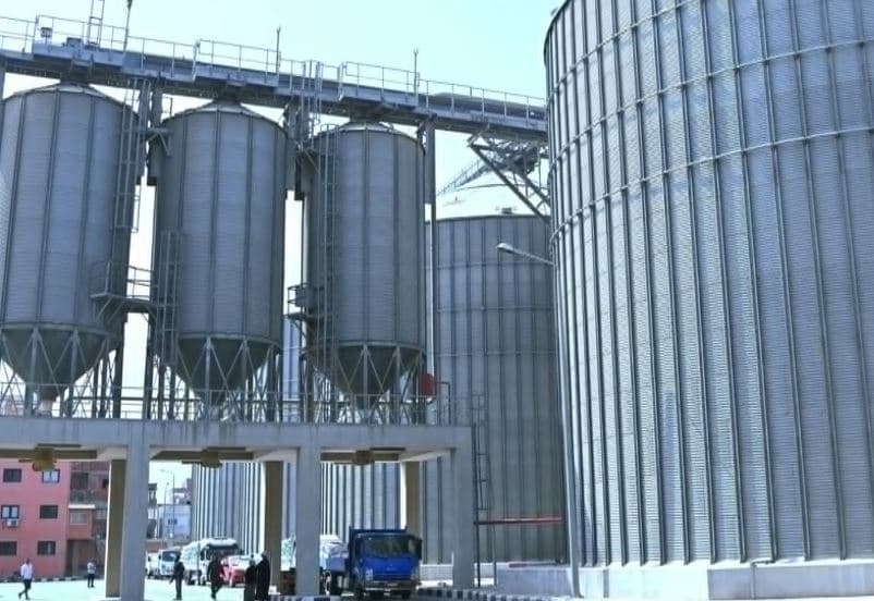 الحكومة تتلقى 5 ملايين طن قمح محلي