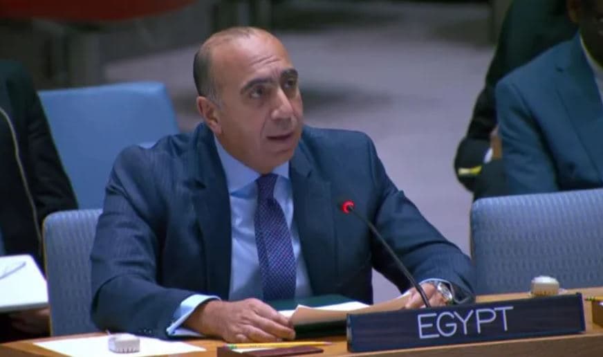مندوب مصر بمجلس الأمن: نرفض تقسيم السودان