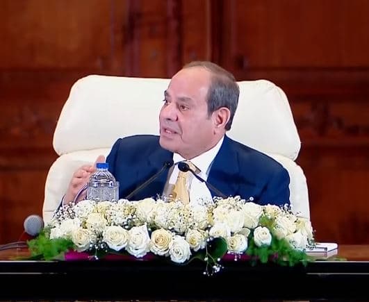 President Sisi discusses Decent Life delays