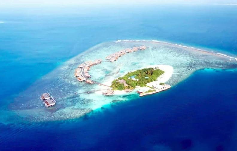 Global Environment Party Chair Warns of Rising Oceans