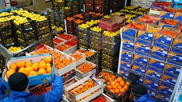 الحجر الزراعي يعلن صادات بقيمة 7.2 مليون طن منذ بداية العام