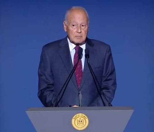 Abul Gheit: Sisi faces Egypt's crisis with resolve
