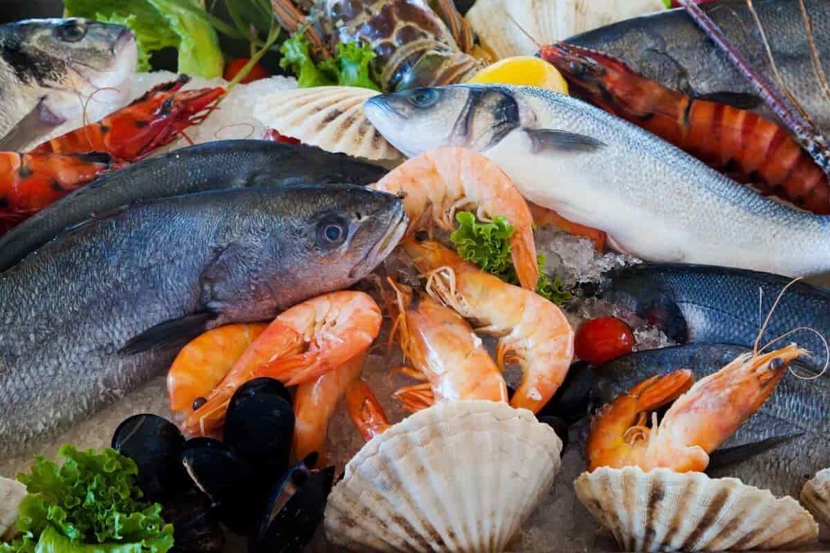 Fish Prices at Obour Market on August 10