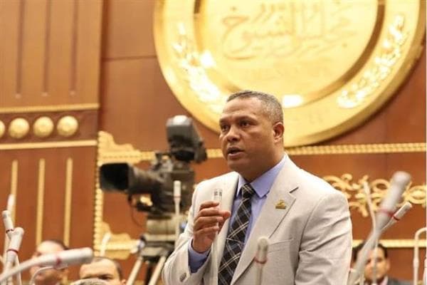 Deputy Hamza Praises Damietta Port Transparency