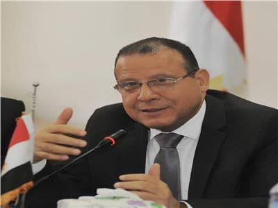 Magdy El-Badawi: Freelance memberships issued in one governorate