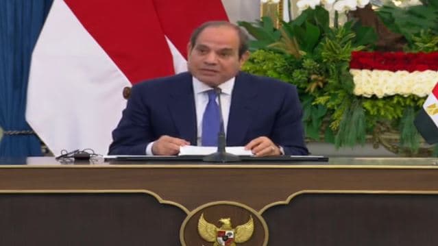 President Sisi affirms Egypt's water rights