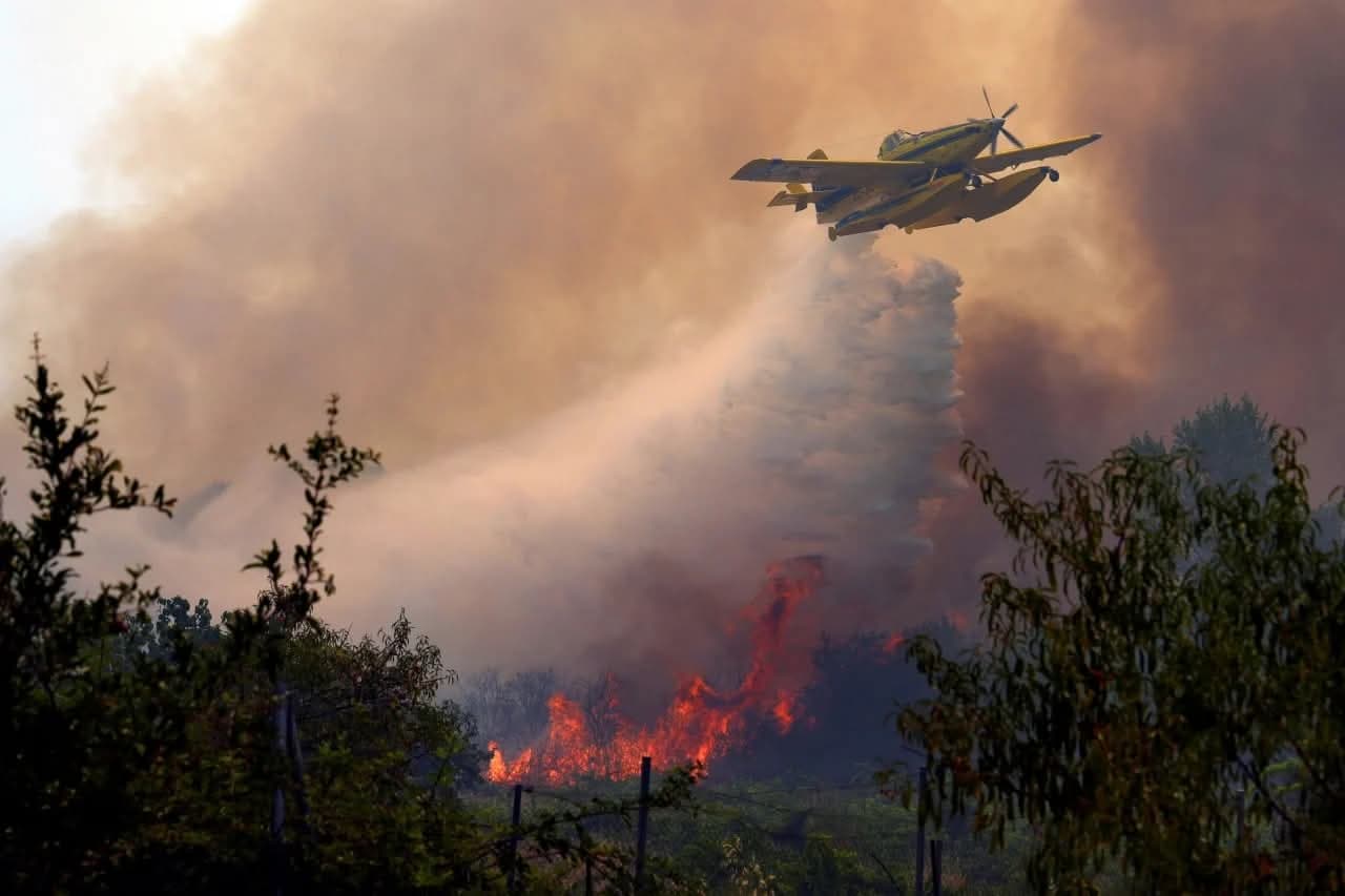 Wildfires in France and Spain resemble war zones