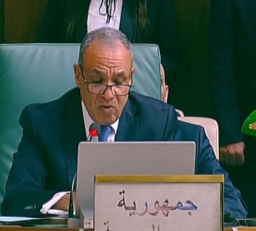 Foreign Minister urges Arab joint force