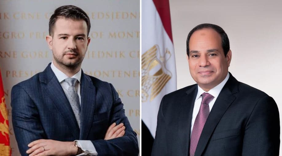 President Sisi Meets Montenegro PM