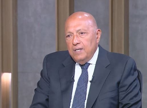 Shoukry Affirms Egypt's Interests Protected by Declaration