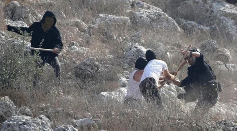 Israeli MP urges action against settler violence