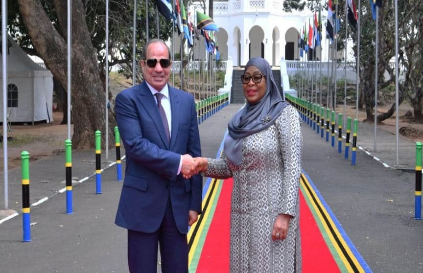 Sisi returns after Tanzania visit
