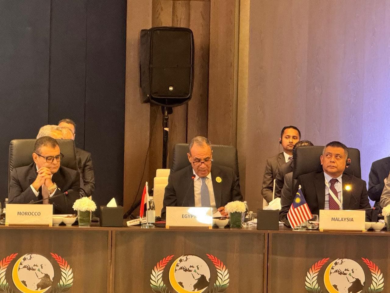 Abdel Ati: Palestine remains Egypt's top priority