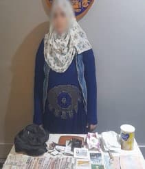 Woman held over handbag theft in Alexandria