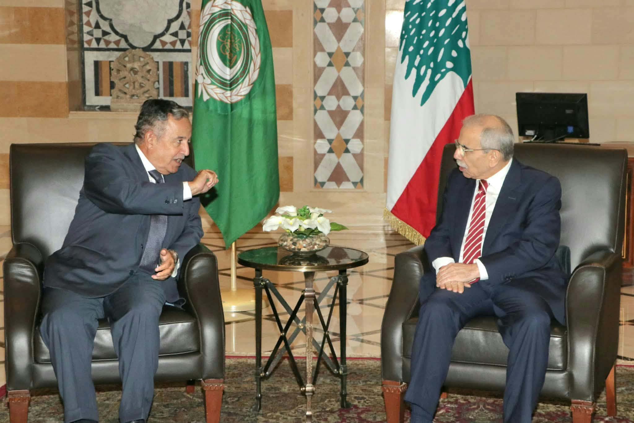 نبيل فهمي يركز على دعم إعادة إعمار لبنان