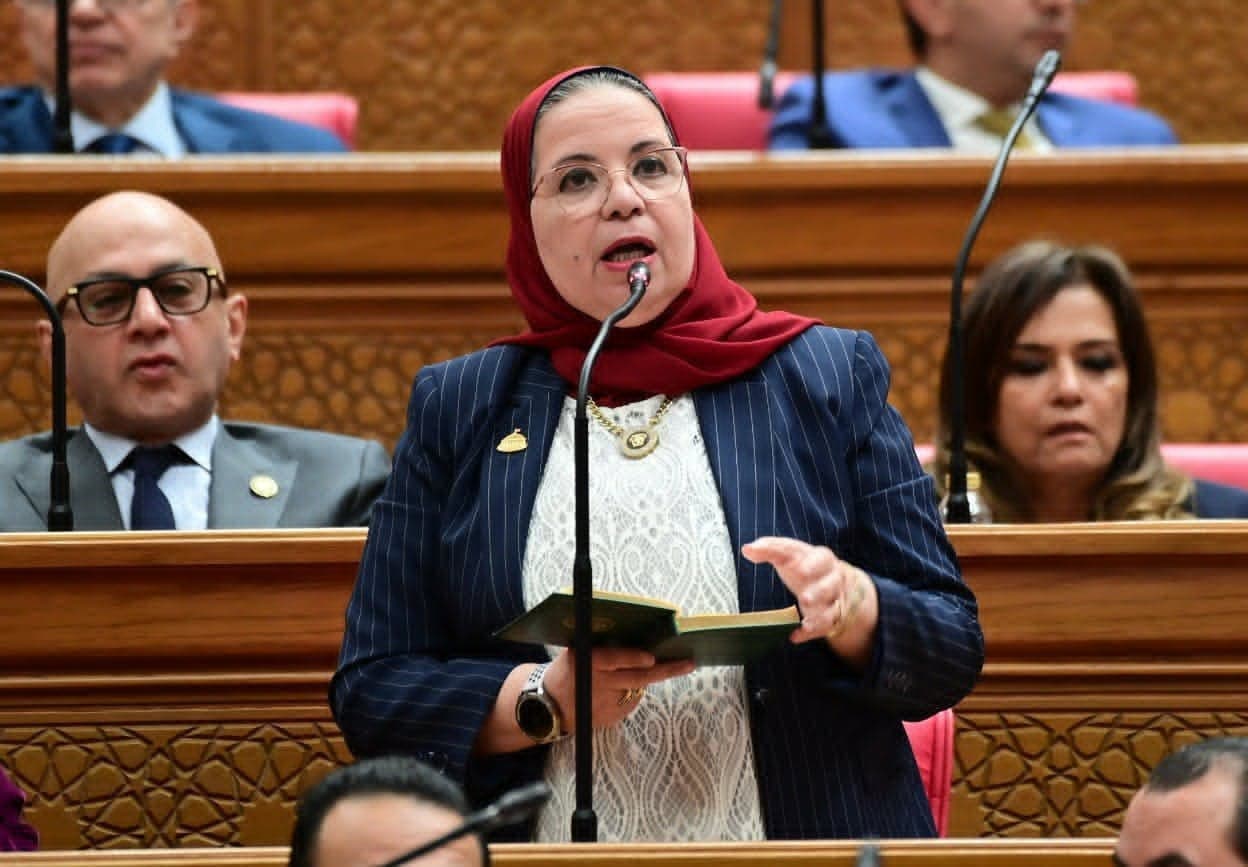 مصر تواصل دعم وحدة فلسطين والأمن