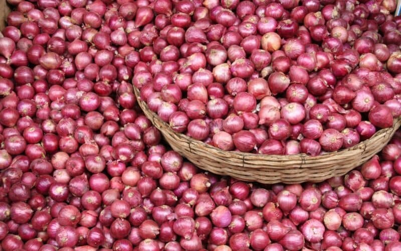 Onion Storage and Market Surplus