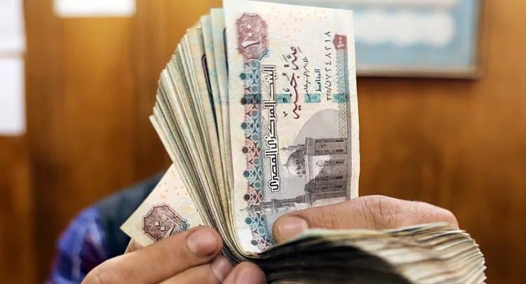 MP Hani Shahat: Minimum pension too low
