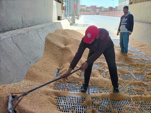 Supply Ministry: Wheat Reserve Covers Six Months