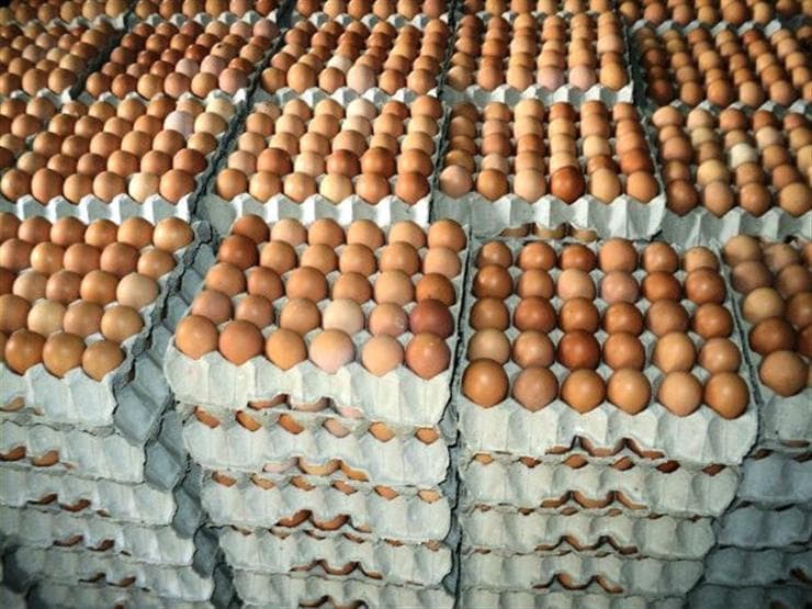 Egypt Selling Raw Eggs to Maintain Protections