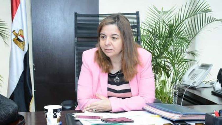 Maya Abdel Hamid Bans Social Housing Sales