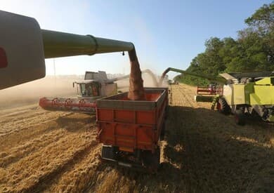 Global wheat market affected by Russia-Ukraine tensions